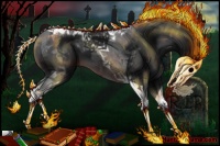 Horse Color:Brown Tobiano 