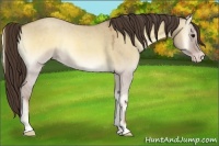 Horse Color:Classic Champagne Roan Onyx 