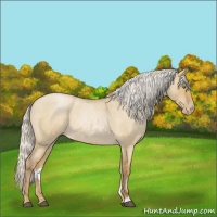 Horse Color:Silver Bay Roan Pearl Dun 
