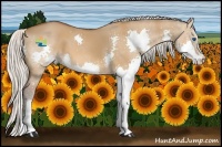 Horse Color:Silver Bay Dun Splash