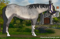 Horse Color:Blue Onyx Roan 