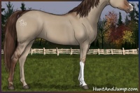 Horse Color:Liver Red Dun