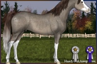 Horse Color:Liver Red Dun Splash