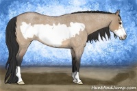 Horse Color:Bay Roan Dun Frame