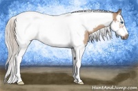 Horse Color:Silver Bay Roan Dun Splash Tobiano Frame