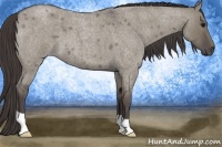 Horse Color:Smoky Grullo Roan