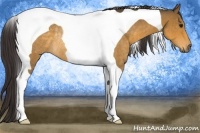 Horse Color:Buckskin Tobiano Rabicano