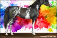 Horse Color:White Spotted Liver Chestnut