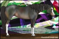 Horse Color:White Spotted Liver Chestnut Sabino 