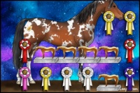 Horse Color:White Spotted Bay 