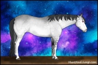 Horse Color:White Spotted Brown Chinchilla 