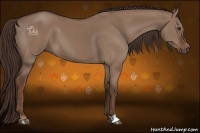 Horse Color:Liver Red Dun