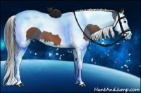 Horse Color:Brown Splash Tobiano