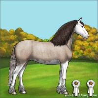 Horse Color:Classic Champagne Roan Splash 