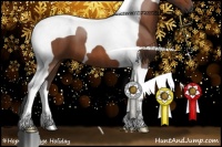 Horse Color:Brown Roan Tobiano 