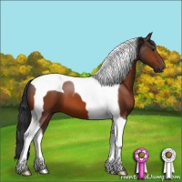 Horse Color:Brown Tobiano 