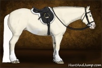 Horse Color:Silver Classic Cream Champagne Roan Dun Splash Frame 
