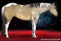 Horse Color:Buckskin Tobiano