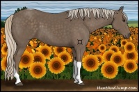 Horse Color:Silver Black Tobiano