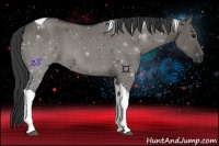 Horse Color:Grullo Tobiano 