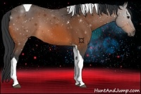 Horse Color:Bay Tobiano 