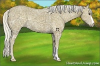Horse Color:Silver Smoky Black Ice