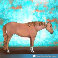 Horse Color:Chestnut Tobiano