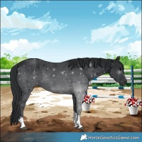 Horse Color:Black Tobiano 