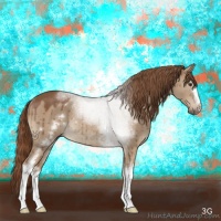 Horse Color:White Spotted Red Dun Rabicano 