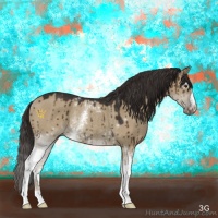 Horse Color:White Spotted Liver Red Dun Rabicano 