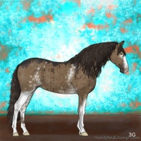 Horse Color:White Spotted Liver Red Dun 
