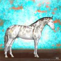 Horse Color:White Spotted Liver Red Dun Splash Appaloosa Brindle 