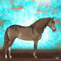 Horse Color:Liver Red Dun Sabino 