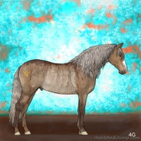 Horse Color:Silver Bay Dun Rabicano