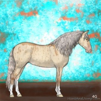 Horse Color:Silver Sable Champagne Dun