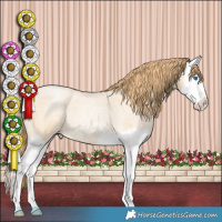 Horse Color:Buckskin Roan Pearl Splash 