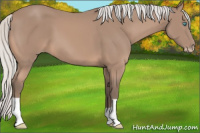Horse Color:Gray Silver Perlino