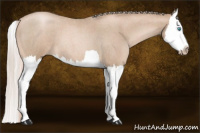 Horse Color:Gray Palomino Roan Pearl Splash 