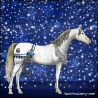 Horse Color:Red Dun Roan Tobiano Appaloosa 