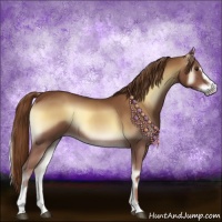 Horse Color:Red Onyx Sabino 