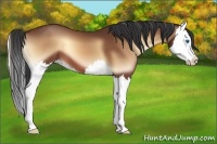 Horse Color:Brown Onyx Splash
