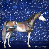 Horse Color:Nacre Liver Red Onyx Splash Appaloosa