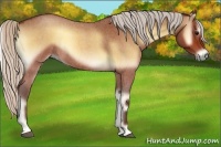 Horse Color:Silver Bay Roan Onyx Sabino