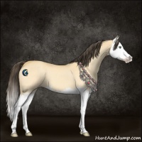 Horse Color:Amber Cream Champagne Dun Splash 