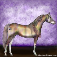 Horse Color:Nacre Silver Brown Onyx 