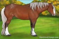 Horse Color:White Spotted Silver Bay Splash 