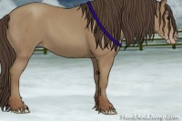 Horse Color:Classic Champagne