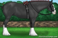 Horse Color:Black Splash