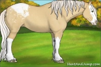 Horse Color:Silver Classic Champagne Dun Splash Snowcap 