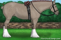 Horse Color:Silver Grullo 